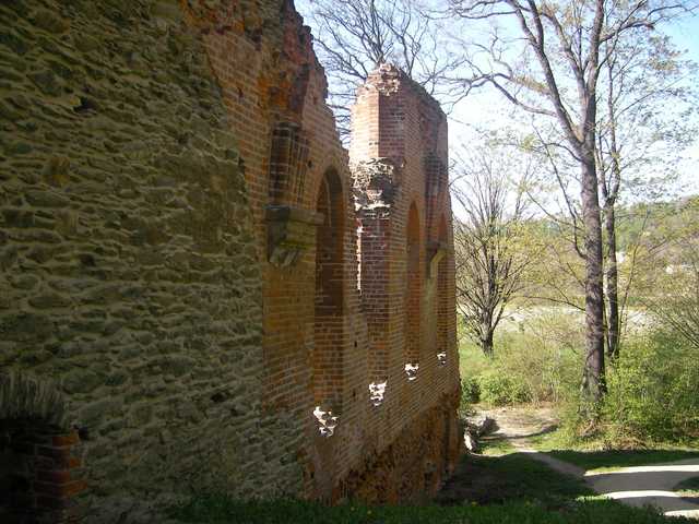 Ruine des klsterlichen Speisesaals im Klosterpark Altzella